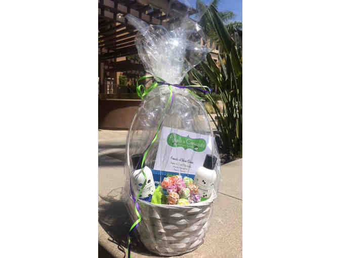 Pigtails and Crewcuts- 2 kids haircuts and products