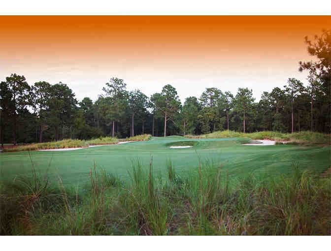 Talamore Golf Resort -- A foursome with carts