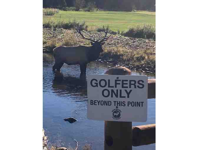 Evergreen Golf Course - One foursome with carts
