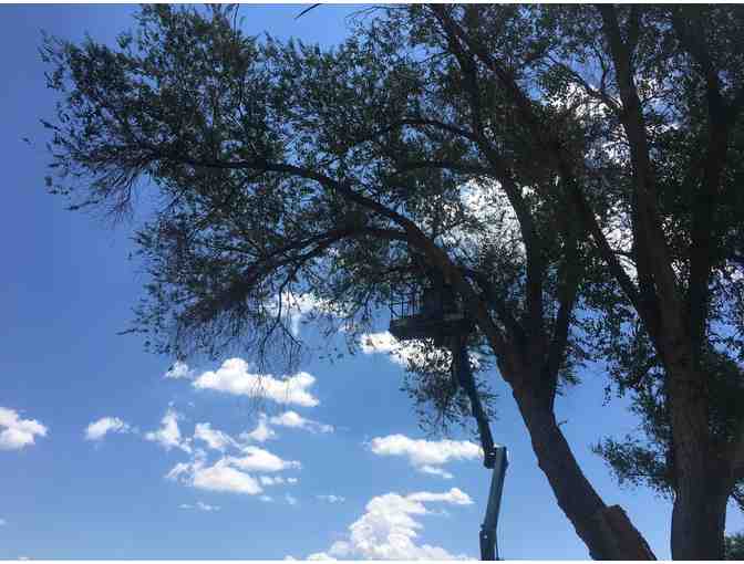 Riverview Golf Course - One foursome with carts