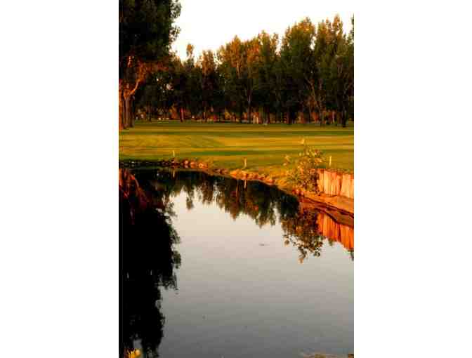 Sidney Country Club - golf for two