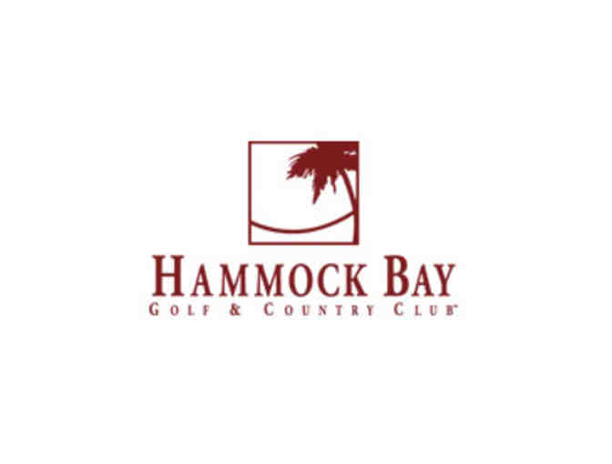 JW Marriot Marco Island Beach Resort-Rookery or Hammock Bay Course-One foursome with carts