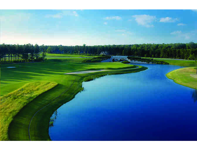 Hampton Hall Club - golf for four