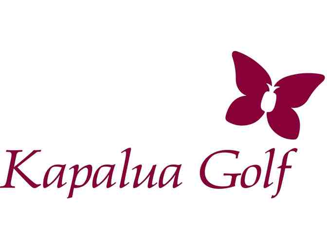 Kapalua Golf - One foursome