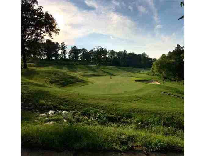 Greer Golf - One foursome with carts and range balls