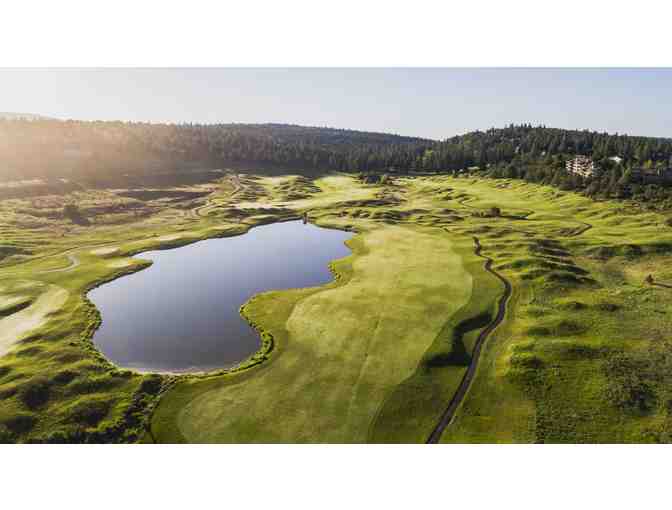 Running Y Resort - One foursome with carts