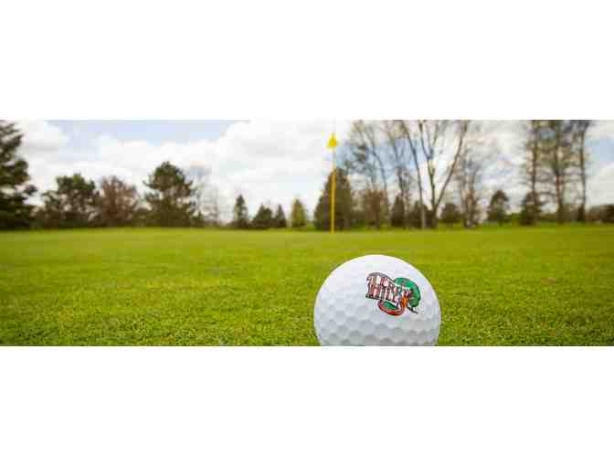 Terry Hills Golf Course - One foursome with carts