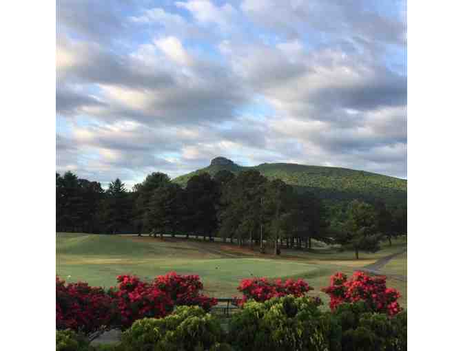 Pilot Knob Park - One foursome with carts