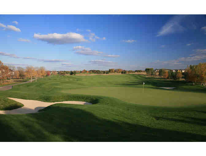 TPC Twin Cities - One foursome with carts