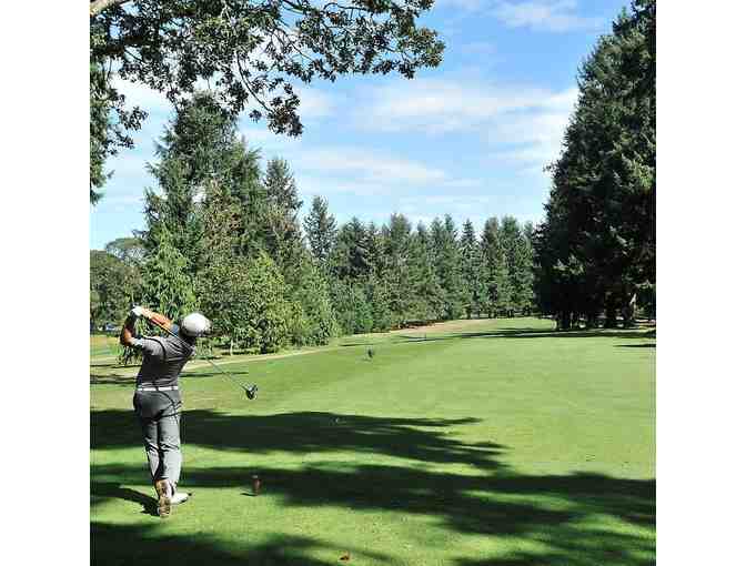 Meadow Park Golf Course - One foursome with carts