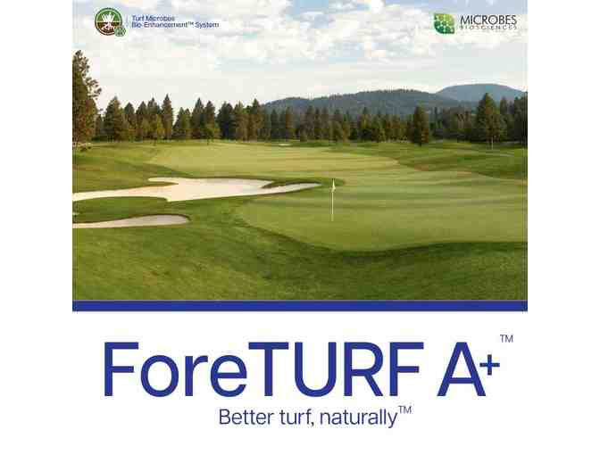 ForeTURF A+ (1 gal) - Photo 1
