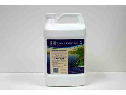 F-30 Algae Control (4 gallons)