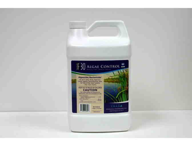F-30 Algae Control (4 gallons) - Photo 1