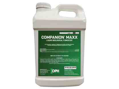 Companion Maxx Liquid Biological Fungicide, 2.5 gal jug