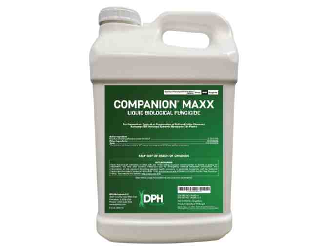 Companion Maxx Liquid Biological Fungicide, 2.5 gal jug - Photo 1