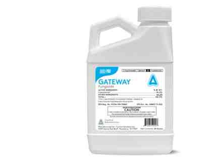 1 Case of Gateway Fungicide (4x20 Ounce)