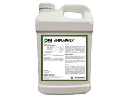 AmplAphex, 2.5 gal bottle