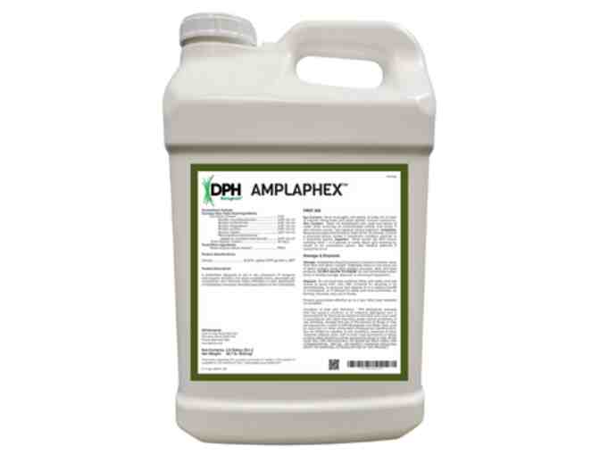 AmplAphex, 2.5 gal bottle - Photo 1