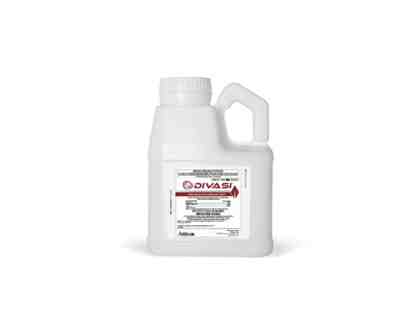 Divasi (4 x .5 gal case)