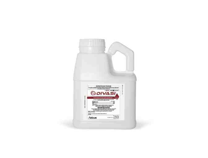 Divasi (4 x .5 gal case) - Photo 1