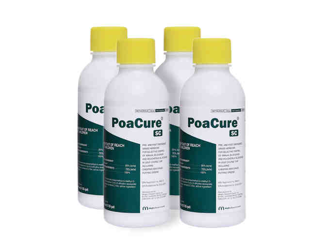 PoaCure (4 Bottles) - Photo 1