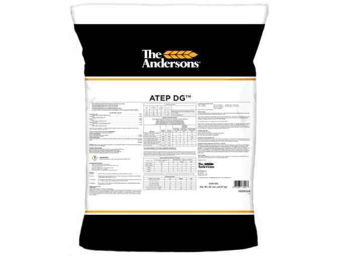 ATEP DG One Pallet (40 bags) - Photo 1