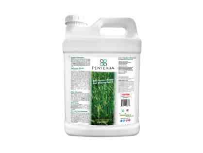 Penterra Soil Penetrant and Wetting Agent - 1 Box with 5 Gallons