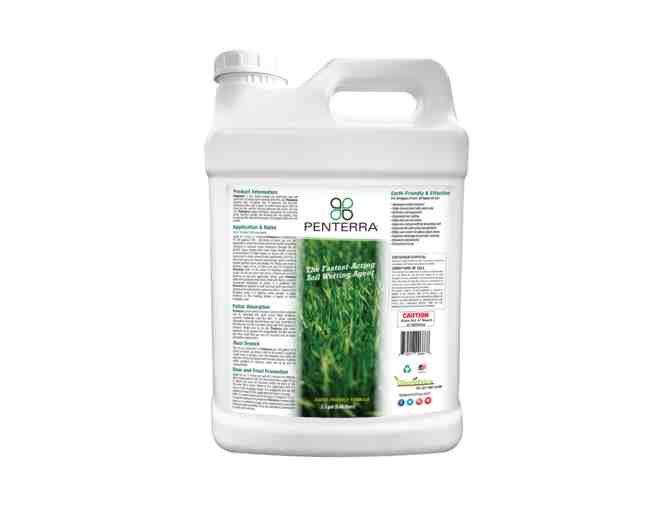 Penterra Soil Penetrant and Wetting Agent - 1 Box with 5 Gallons - Photo 1