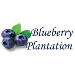 Blueberry Plantation Golf & Country Club