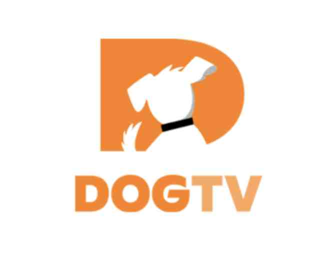 One Year Subscription to Dog TV with Gift Box - Photo 1