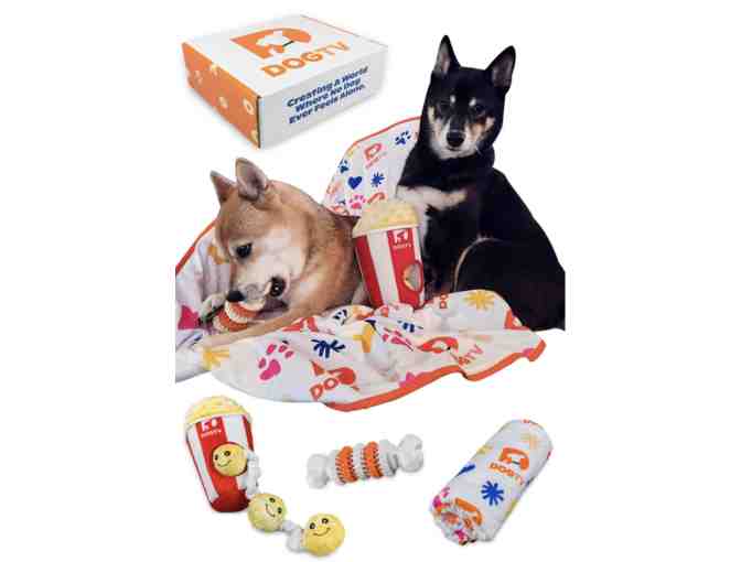 One Year Subscription to Dog TV with Gift Box - Photo 2