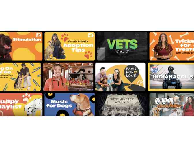 One Year Subscription to Dog TV with Gift Box - Photo 3