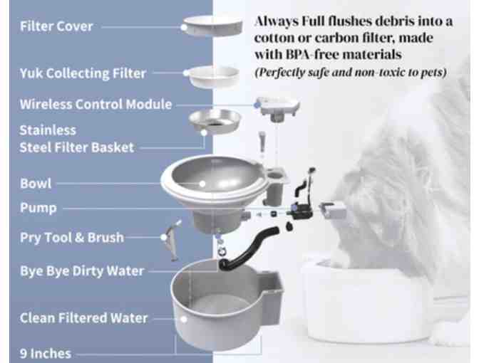 Always Full Pet Water Bowl