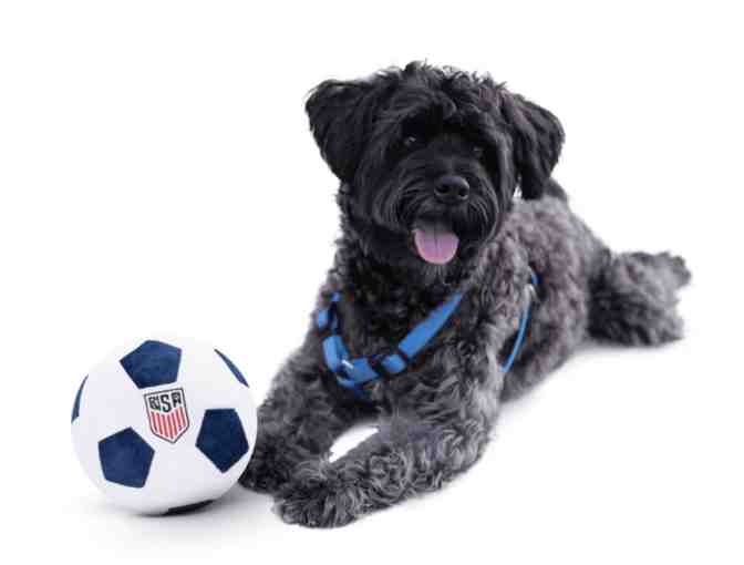 Soccer for Humans and Dogs from Floofball