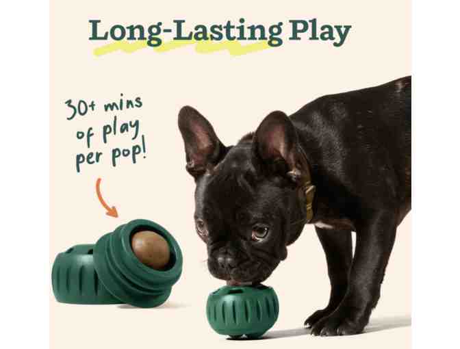 Woof Gift Pack including the famous 'Pupsicle'