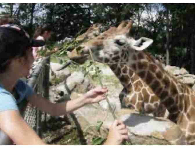 Southwick's Zoo Passes