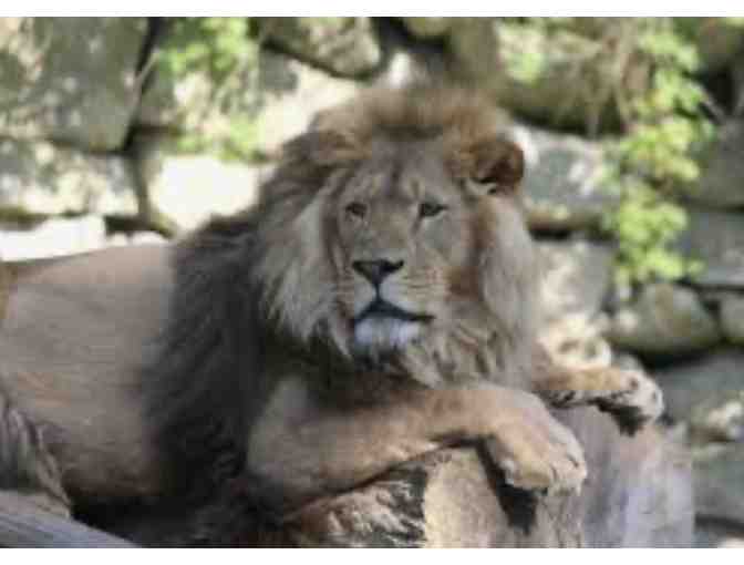 Southwick's Zoo Passes