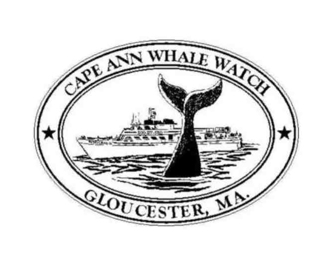 Cape Ann Whale Watch - 2 adult tickets