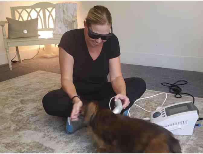 Coastline Canine - in home rehabilitation evaluation for your pup