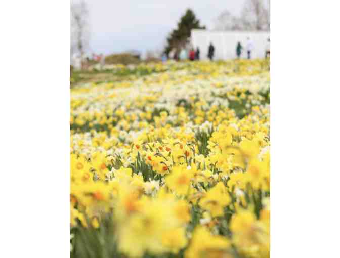 New England Botanic Garden - 4 passes