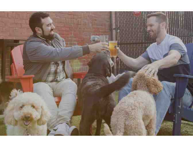 Park-9 Dog Bar - 3 month Membership