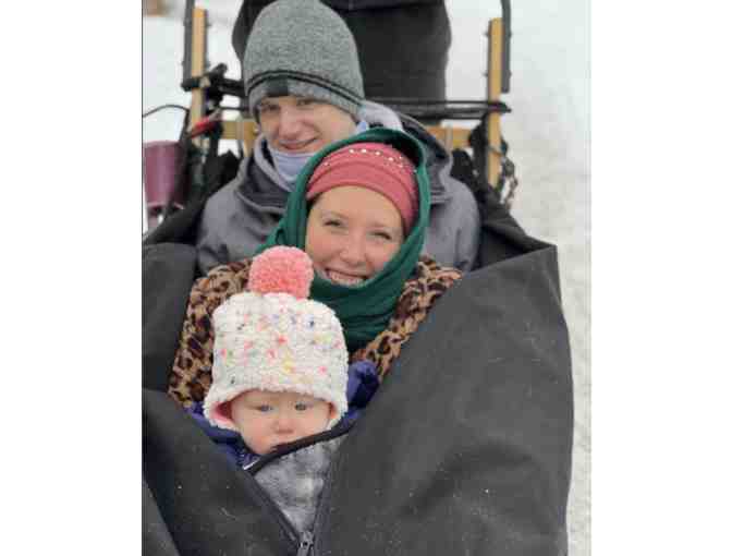 2 1/2 Hour Dog Sledding Experience in Maine