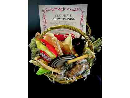 Pawsitively Perfect Pet Package: Training, Leash, and Toys Galore!