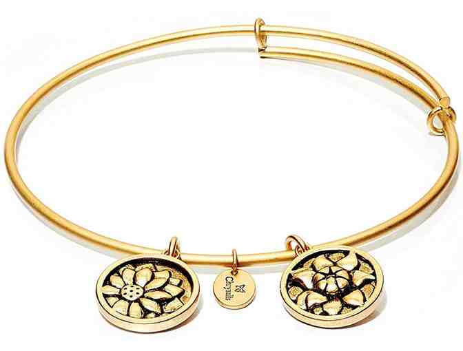 Chrysalis Bracelets-2