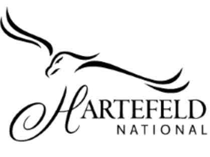 Member for the Day - Hartefeld National Golf Club