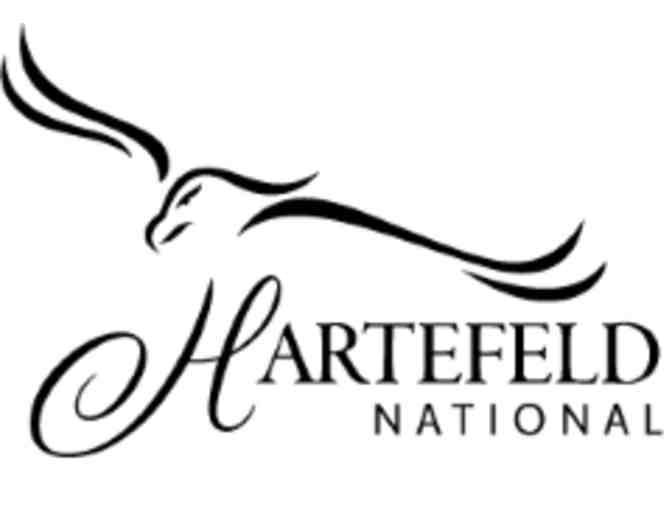 Member for the Day - Hartefeld National Golf Club