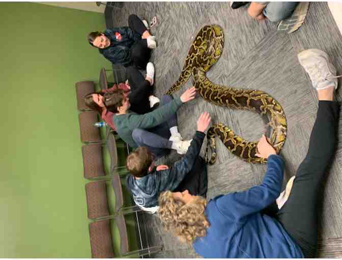 Animal Visit: 'Meet A Snake' (for 2 people, at Riverside Reptiles)