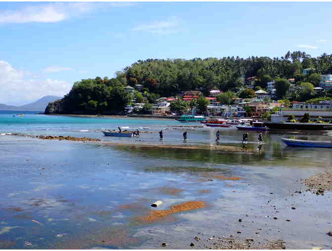 1 TRAVEL: Philippines (7 Nights, Meals, Diving - Atlantis Resorts