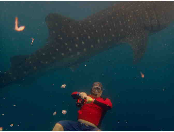 1 TRAVEL: Philippines (7 Nights, Meals, Diving - Atlantis Resorts