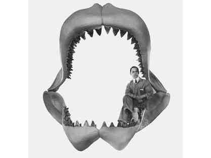 MEGALODON: Shark TOOTH (Giant, 3